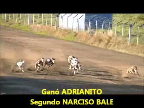 ADRIANITO serie Nac de Furia 2015 WWW.SOYGALGUERO.COM