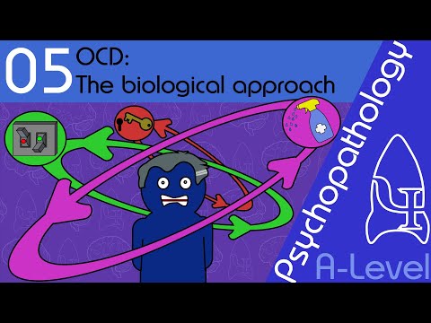 5 OCD: Biological