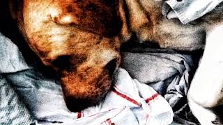 I'll Make Stars Blink For You!