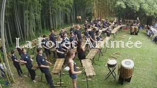 Les Pousses du Bamboo Orchestra - La Forêt Animée (Bambouseraie 2016)