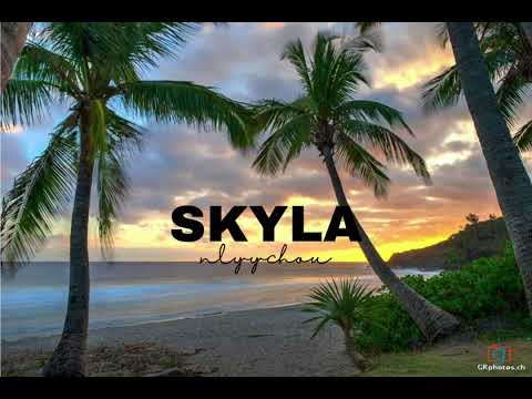 DJ SKYLA MASHUP 2 [2024]
