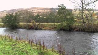 An Introduction to Basic Salmon Fly Fishing