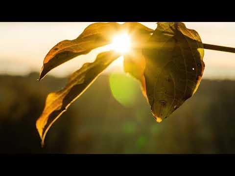 PUIU CHIBICI - Golgota