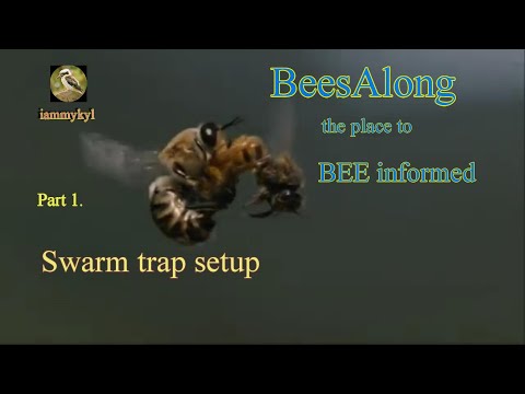 Swarm Trap, part 1 SETUP.