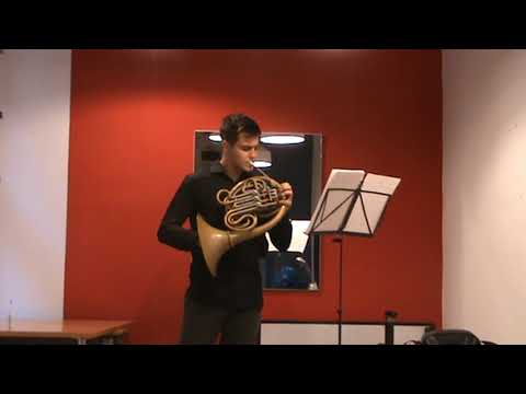 Horațiu Văsar - Nocturna, Ghoerghe Păunescu