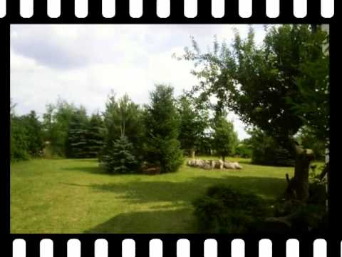 Gospodarstwo agroturystyczne w Stefanowie nad jeziorem Głuszyńskim u M.B.Kowalskich.wmv
