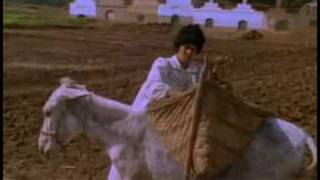 El Moulid: Egyptian Religious Festival - PREVIEW