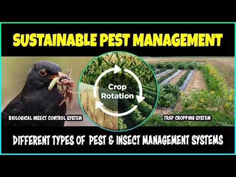 Sustainable Insect and Pest Management Practices | Integrated Pest Management System