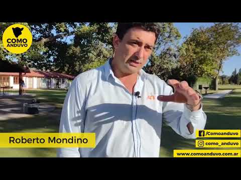 Rústicos especial del Destete - Roberto Mondino - Martillo y titular de  Alfredo S Mondino.