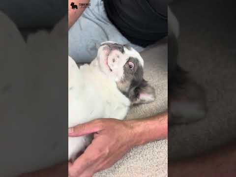 Video 2