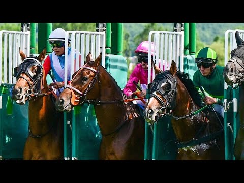 ŽIVĚ 🔴 | dostihy Chuchle Arena Praha – 25. 6. 2023