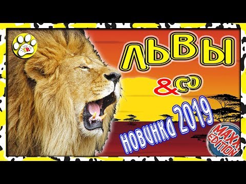 ЛЬВЫ Деагостини от макси и КО (ТРЕЙЛЕР 2019) 🐯 🦁 🐯