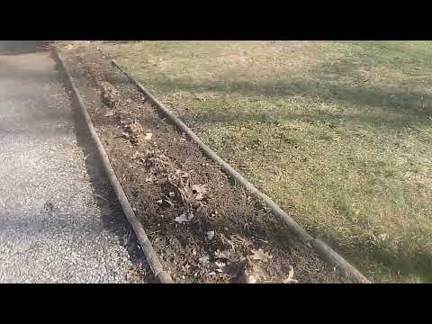 Februar-Garten: Winterruhe & Frühlingserwachen entdecken