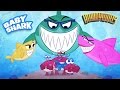 Baby Shark Song - Music for Children - Rainbow ...