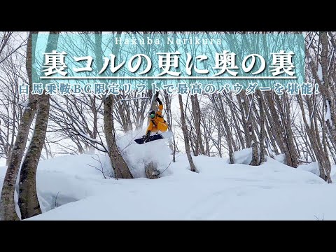 【裏コルの更に奥の裏】白馬乗鞍第11リフトはパウダーが最高すぎた!「Hakuba Norikura Backcountry」(4K)