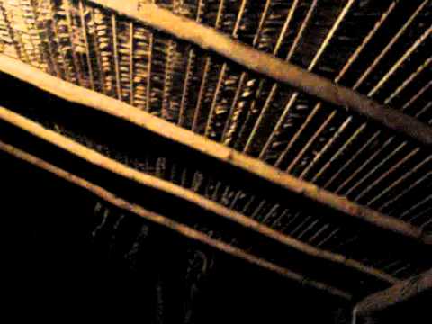 Lethycia super delicada pra sentar