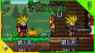 Terraria 泰拉瑞亚  第1—5天   转生到了新的世界 （(全字幕)）