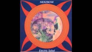 Merzbow - Electric Salad