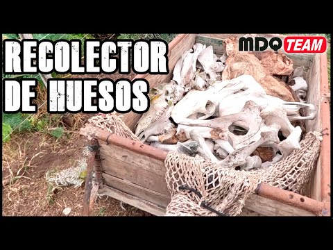 El Recolector de Huesos