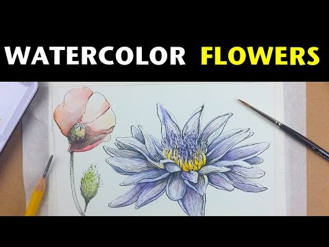 How to draw and paint flowers with watercolor ink