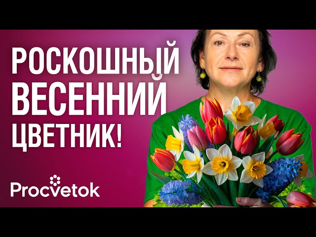 САЖАЕМ ТЮЛЬПАНЫ КАК В ГОЛЛАНДИИ! Шикарная долгоцветущая клумба из луковичных цветов