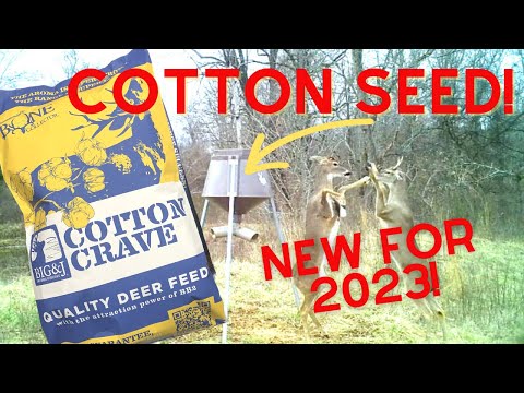 How to Bring More Deer to Your Property | Big & J Deer Feed!