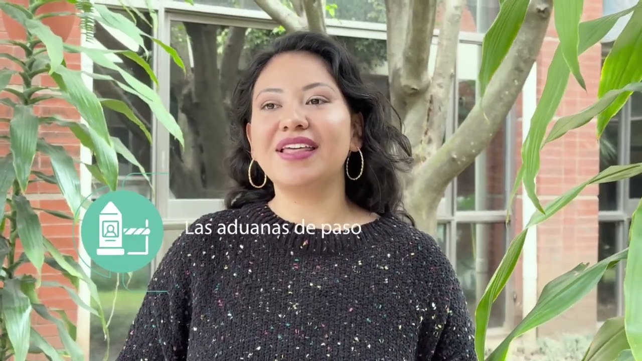 Consejos clave si transportas mercancía en tránsito internacional terrestre con la DUCA T.