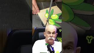 FUI ABORDADO PELA ROTA EM SÃO PAULO #casoreal #historiapolicial #policia #polícia #asmr