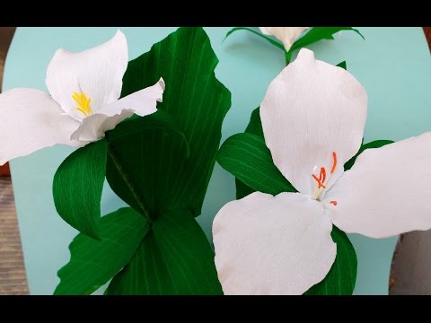 How to make Paper Flower Trillium (Flower # 83)