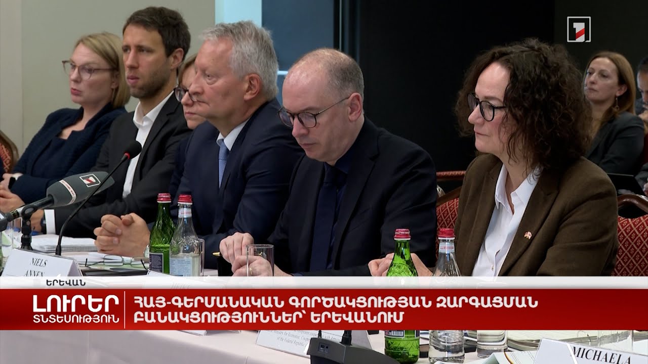 Հայ-գերմանական գործակցության զարգացման բանակցություններ՝ Երևանում