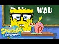 SpongeBob Bell Mal WAU Offizielles Video