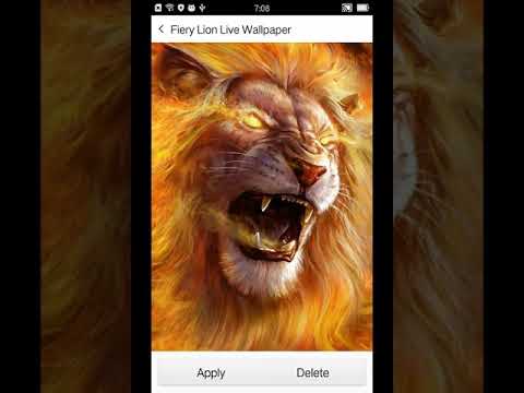 Roaring Lion Live Wallpaper Video