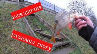 Рыбалка в парк северное тушино каток