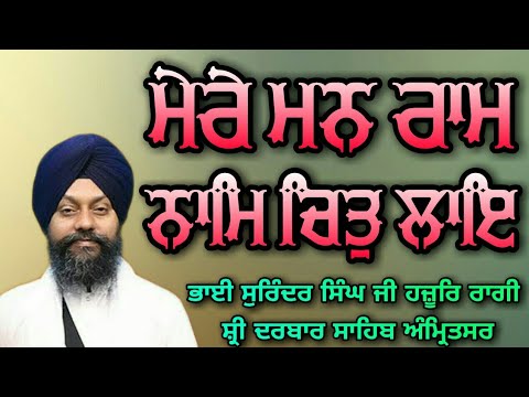 ( Raag Basant ) Mere Mann Ram Nam Chit Lae - Bhai Surinder Singh Ji Hazoori Ragi Sri Darbar Sahib