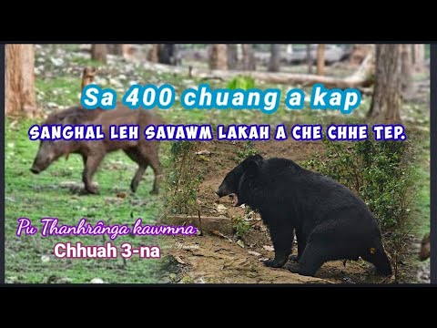 Pu Thanhranga (Tanhril, Aizawl) kawmna. Chhuah 3-na.