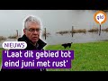 Loslopende honden verstoren het broedseizoen