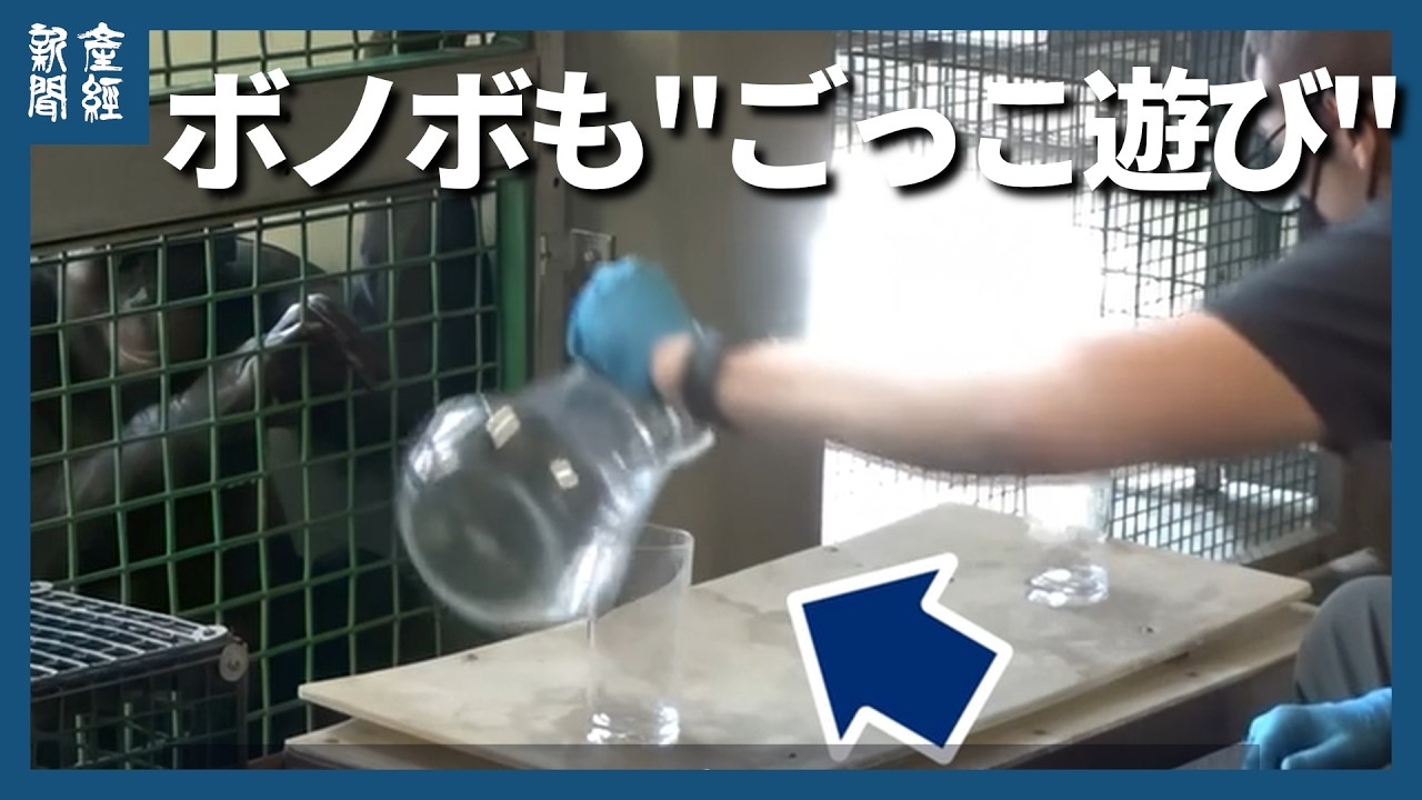 産経ニュースによるカンジの実験に関する解説動画