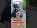 Apem Tante Hancur Komedi
