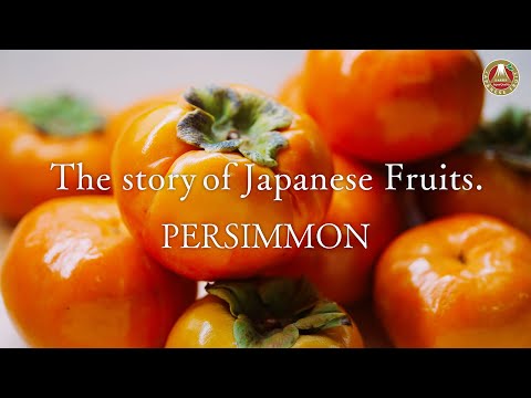 The Story of Japanese Fruits. – Persimmon (English)