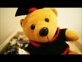 Lonely Teddy Stop Motion