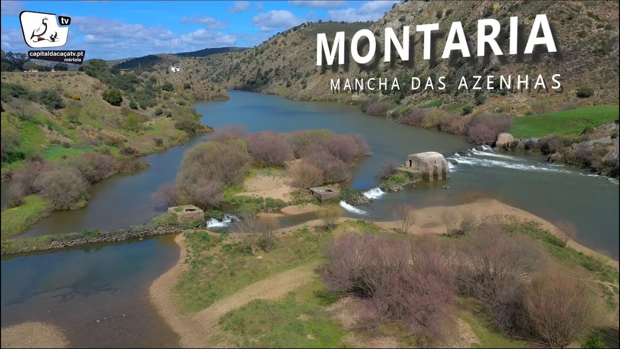 Montaria das Azenhas