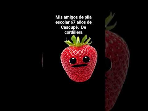 Mis amigos de pila de escolar de Caacupé.  de Cordillera.