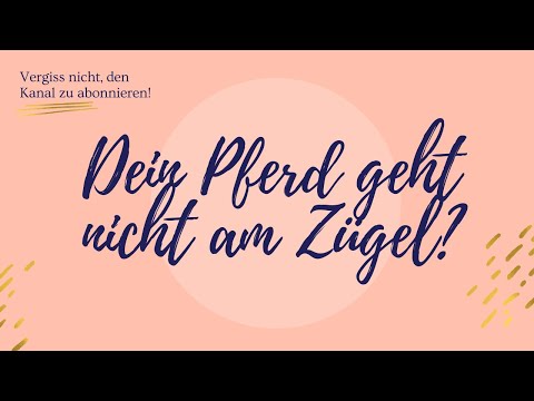 Dein Pferd geht nicht am Zügel?