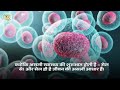 Active Stem Cells Introduction Join Vishvam Ayurveda With Team Synergy 9978156479