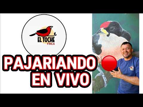 LIVE / EN VIVO 🔴 Finca El Toche