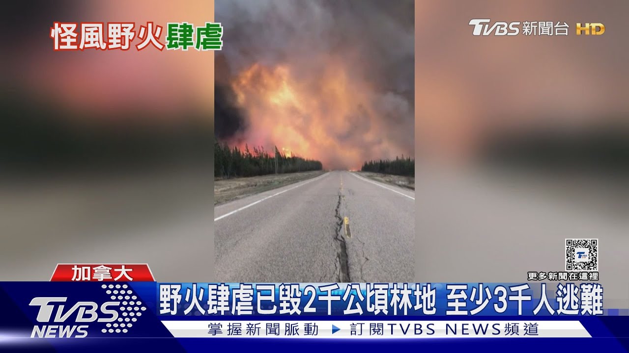 加拿大野火燒2千公頃 南韓狂風折路樹砸車