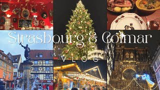 [ストラスブール&コルマールvlog] フランス🇫🇷クリスマスマーケット巡り🧑‍🎄｜おすすめカフェ・レストラン🎄🪄