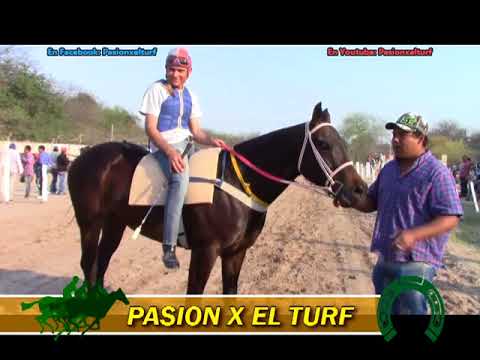 LINDA NEGRA   FRANCOTI 03 09 17