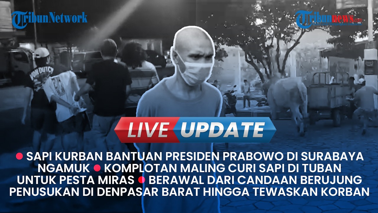 LIVE UPDATE: Detik-detik Sapi Bantuan Presiden Prabowo Ngamuk, Candaan Berujung Penusukan di Bali