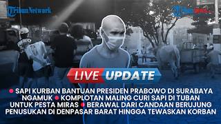 LIVE UPDATE: Detik-detik Sapi Bantuan Presiden Prabowo Ngamuk, Candaan Berujung Penusukan di Bali